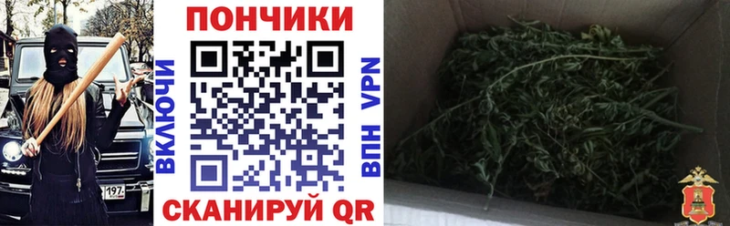 где продают   Морозовск  Каннабис планчик 